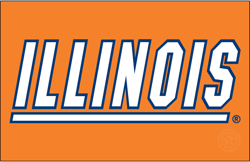 Illinois Fighting Illini 1995-2014 Primary Dark Logo diy iron on heat transfer